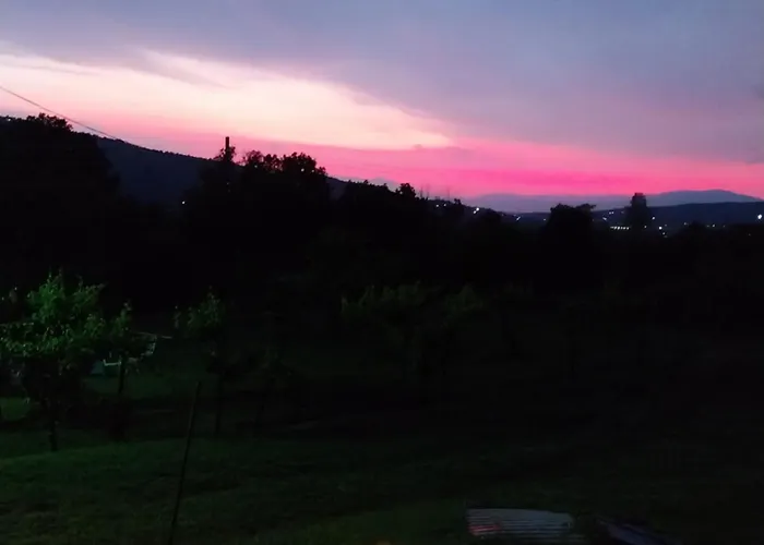Kaj Nana I Dedo
